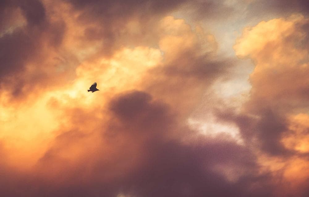 Building a Portfolio Without Feeling Overwhelmed
